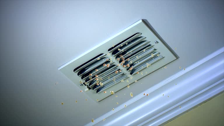 Best HVAC Maintenance and Cleaning  in South Bound Brook, NJ