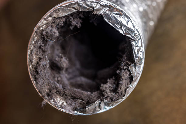 Best Affordable Air Duct Cleaning  in South Bound Brook, NJ